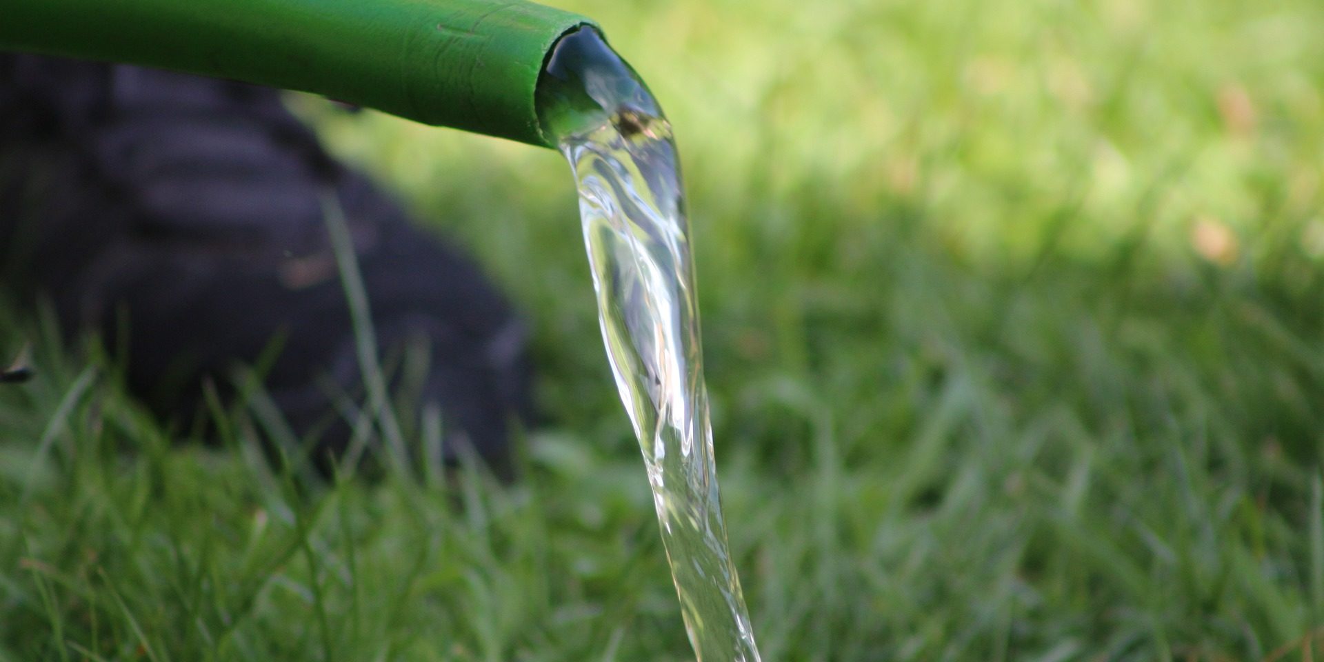 Der Garten im Juli das ist jetzt zu tun 1fachclever